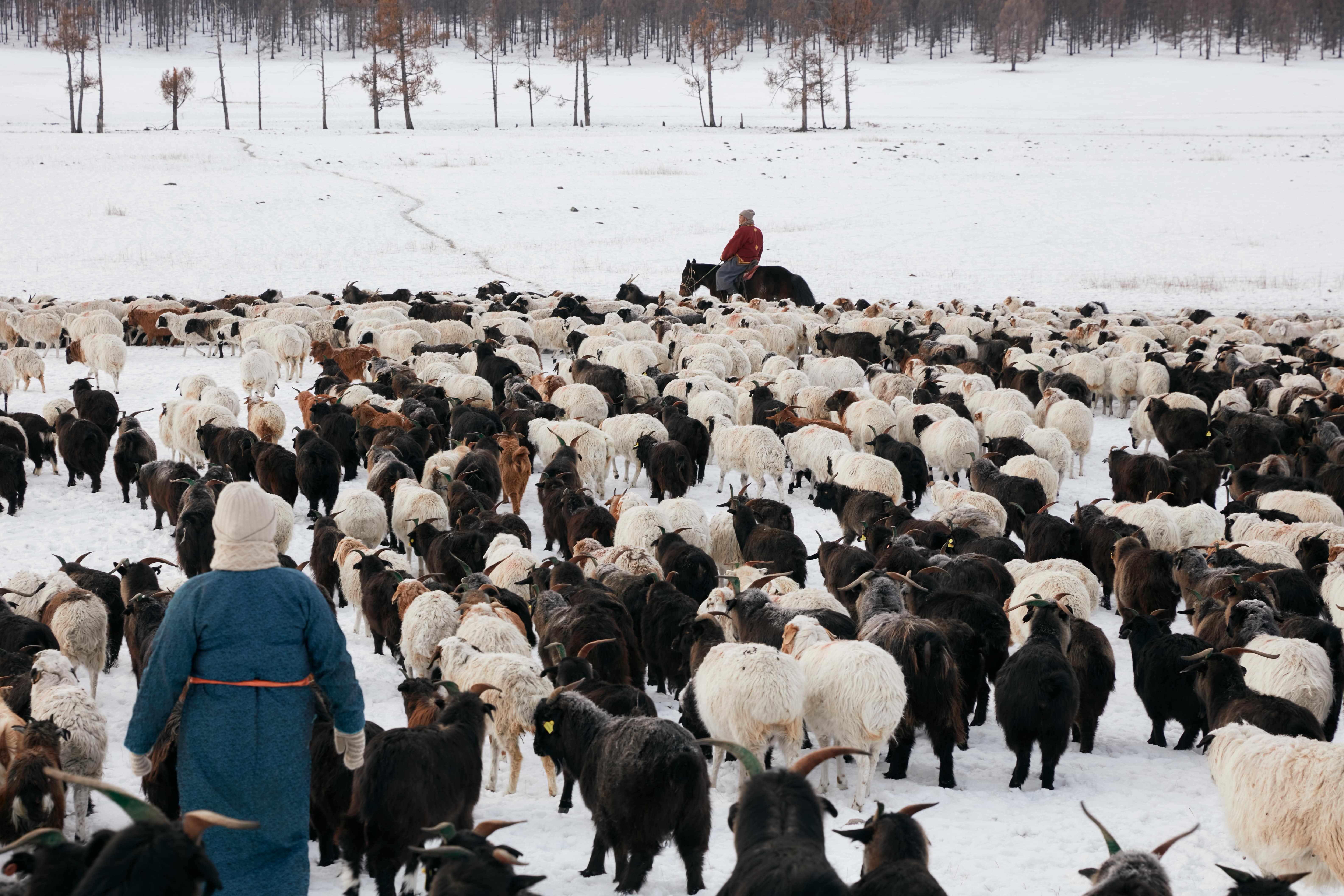 EmptyName Export 110-min.jpg