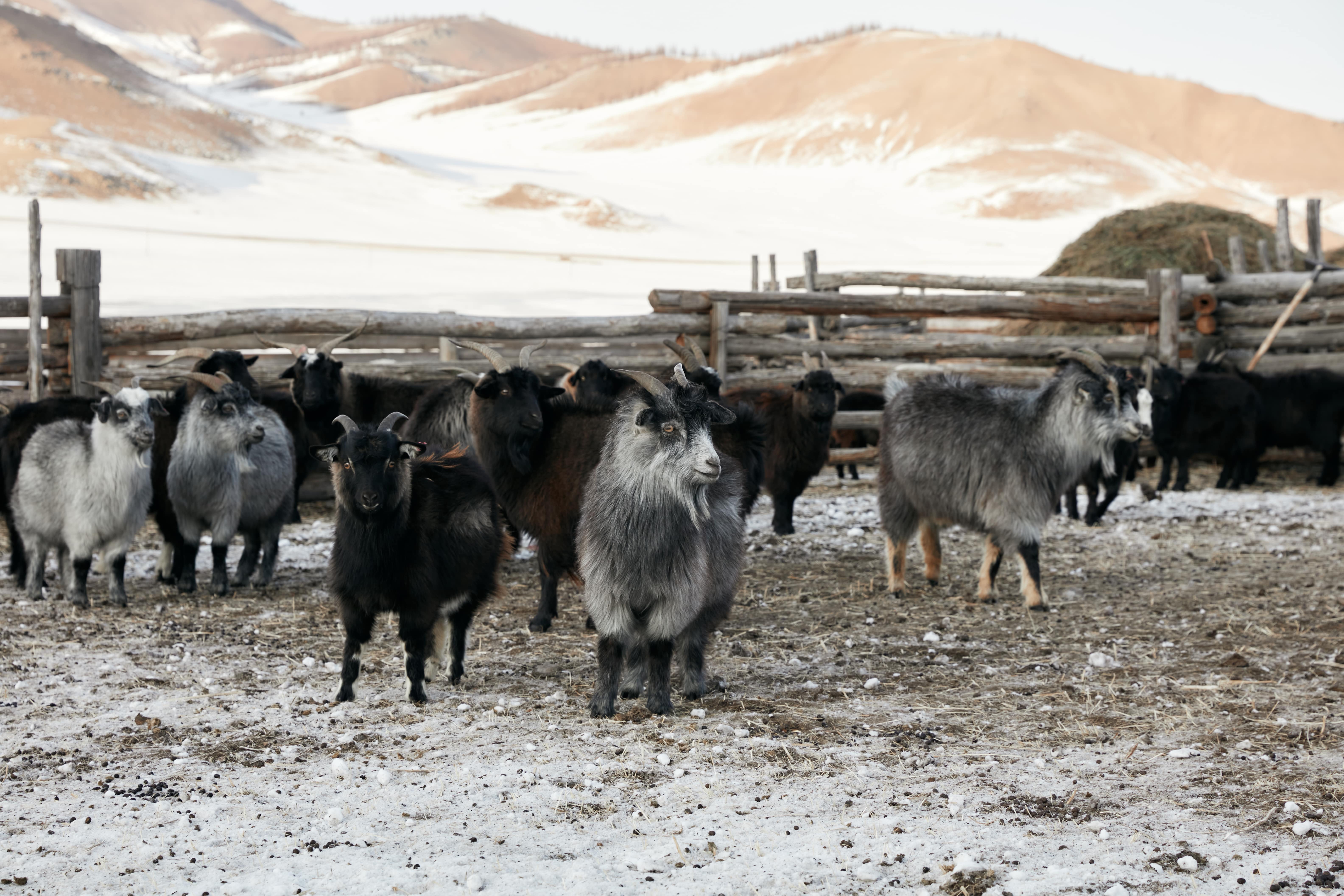 EmptyName Export 258-min.jpg