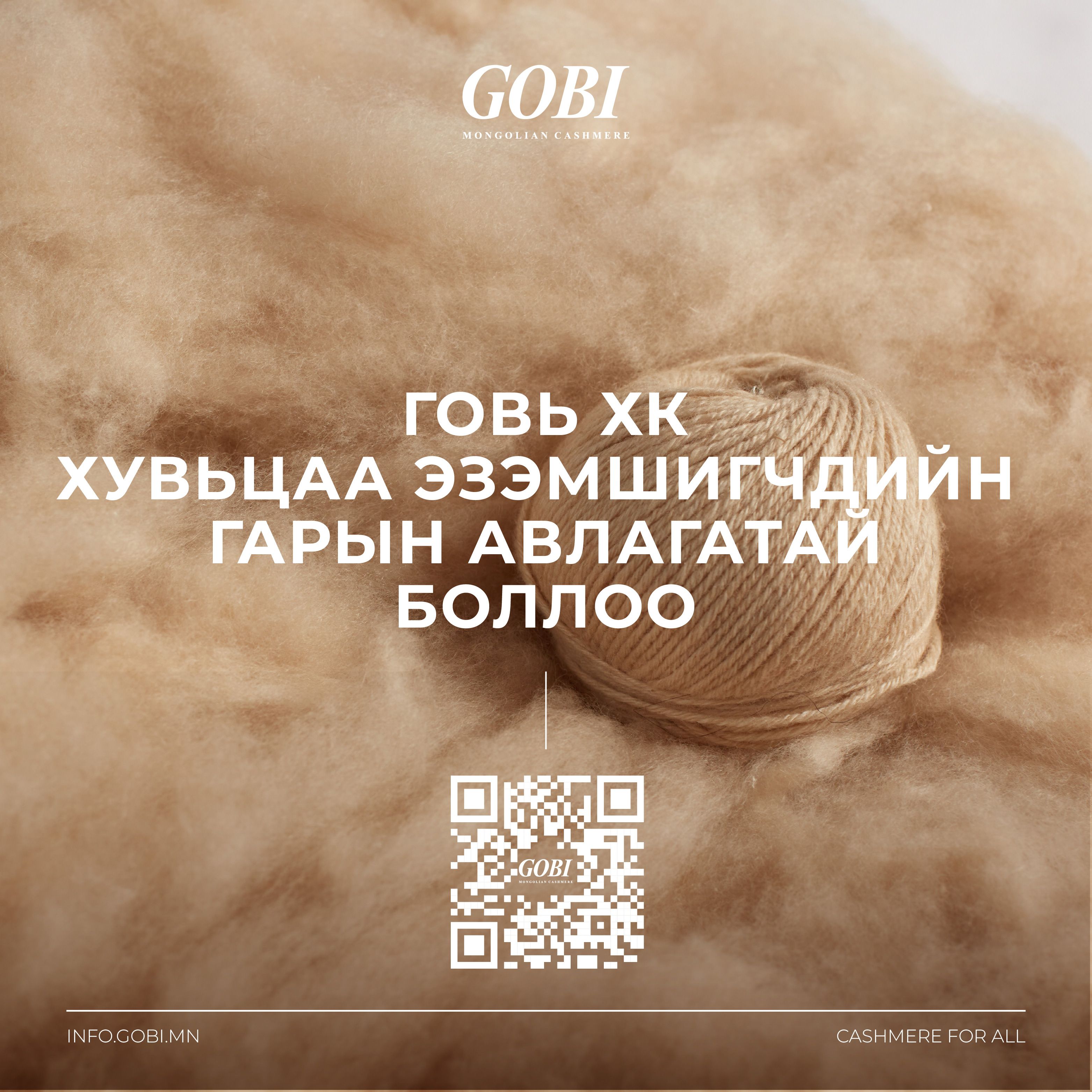 Gobi_Shareholders_SocialMediaPost-01-01 (1).jpg